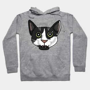 Funny Cat Face (Large Design) Hoodie